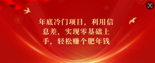年底冷门项目，利用信息差，实现零基础上手，轻松赚个肥年钱【揭秘】-第一资源网