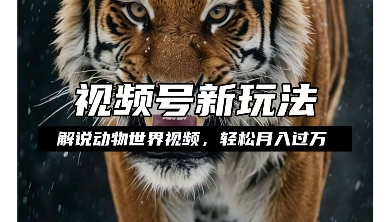 利用动物世界解说视频，赚分成计划收益，轻松月入过W，操作简单【揭秘】-第一资源网