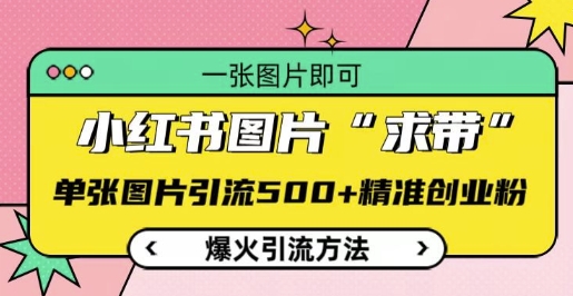 小红书图片‘求带’爆火引流法，单张图片引流500+精准创业粉【揭秘】-第一资源网