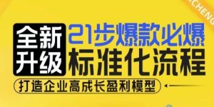 21步爆款必爆标准化流程,全新升级,打造企业高成长盈利模型-第一资源网