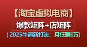 淘宝虚拟电商,2025牛逼新打法:爆款矩阵+店矩阵,月入过万-第一资源网