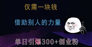 仅需一块钱,借助别人的力量,单日引爆300+创业粉、兼职粉【揭秘】-第一资源网
