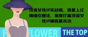 顶流女性IP实战班,流量上亿情绪引爆法,深度打磨顶流女性IP硬核基本功-第一资源网