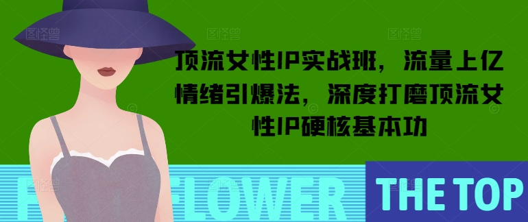 顶流女性IP实战班，流量上亿情绪引爆法，深度打磨顶流女性IP硬核基本功-第一资源网