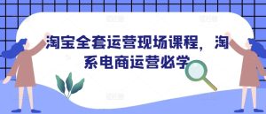 淘宝全套运营现场课程,淘系电商运营必学-第一资源网