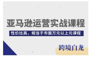 亚马逊运营实战课程,亚马逊从入门到精通,性价比高,相当于市面万元以上元课程-第一资源网