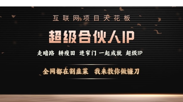 互联网项目天花板，超级合伙人IP，全网都在割韭菜，我来教你做镰刀【仅揭秘】-第一资源网