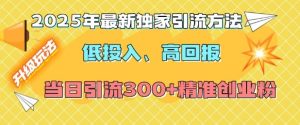 2025年最新独家引流方法,低投入高回报?当日引流300+精准创业粉-第一资源网