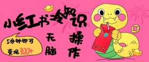 小红书冷知识账号,无脑复制粘贴,5分钟即可变现3张-第一资源网