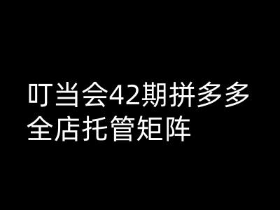 叮当会拼多多打爆班原创高阶技术第42期，拼多多全店托管矩阵-第一资源网