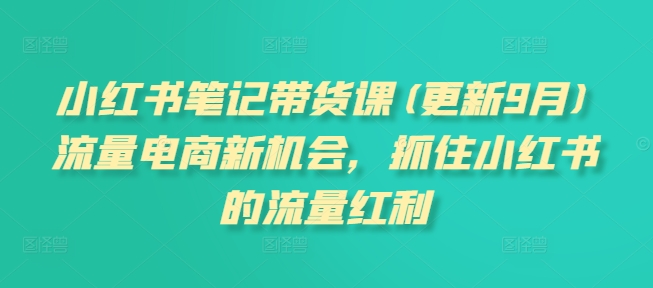 小红书笔记带货课(更新25年3月)流量电商新机会，抓住小红书的流量红利-第一资源网