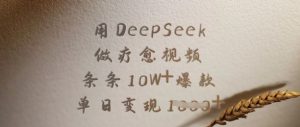 用DeepSeek做疗愈视频,条条10W+爆款,单日变现多张-第一资源网