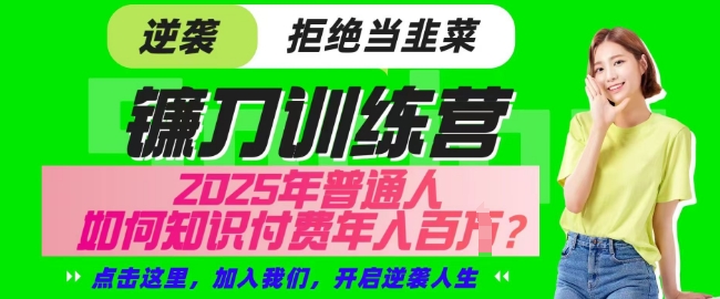 【网创项目终点站-镰刀训练营超级IP合伙人】25年普通人如何通过知识付费实现逆袭【揭秘】-第一资源网