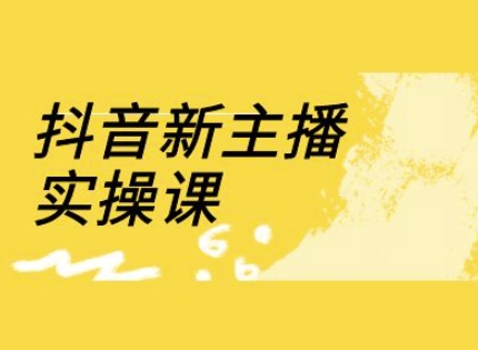 抖音新主播实操课，直播间流量运营线上实操课(18节)-第一资源网