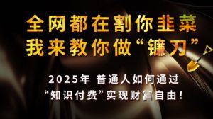 全网都在割你韭菜,我来教你做镰刀,2025普通人如何通过知识付费,实现财F自由【揭秘】-第一资源网