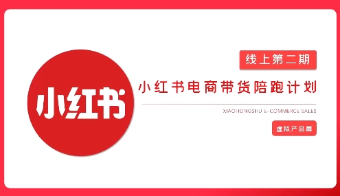 2025小红书虚拟电商实战课，从0到1打造无货源店铺，AI+爆款笔记轻松变现-第一资源网