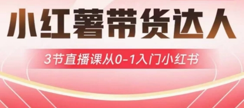 小红薯达人带货启航计划，3节直播课从0-1入门小红书-第一资源网