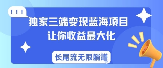 独家三端变现蓝海项目，让你收益最大化，长尾流无限躺挣-第一资源网