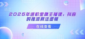 2025年进阶金牌主播课,抖音的推流算法逻辑-第一资源网