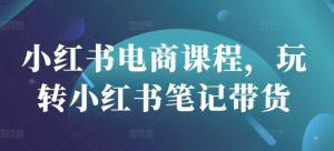 小红书电商课程,玩转小红书笔记带货-第一资源网