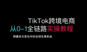 TikTok跨境电商从0-1全链路全方位实操教程，把握多元变化中的全球生意机会-第一资源网