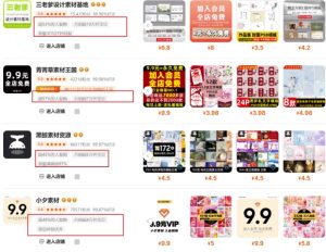 0成本虚拟项目实战手把手教你落地，单店月入5k-第一资源网