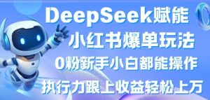 DeepSeek赋能小红书爆单玩法0粉新手小白都能操作，执行力跟上收益轻松上W，懒人勿做-第一资源网