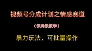 视频号分成计划之情感赛道暴力玩法,可批量操作,保姆级教学-第一资源网