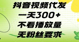 抖音视频代发一天3张+,不看播放量,无粉丝要求【揭秘】-第一资源网