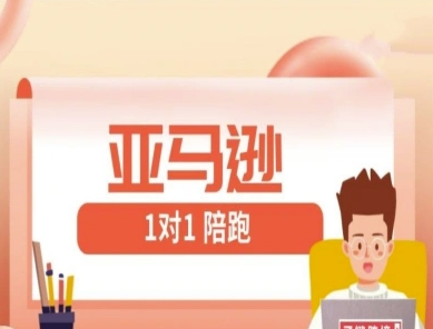 亚马逊1对1陪跑课(FBA/FBM精铺)跨境亚马逊教程-第一资源网