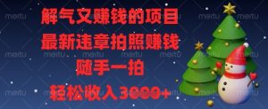 解气又挣钱的项目，最新违章拍照挣钱，随手一拍，轻松收入数张【揭秘】-第一资源网