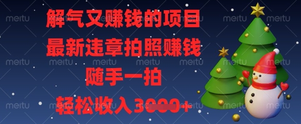 解气又挣钱的项目，最新违章拍照挣钱，随手一拍，轻松收入数张【揭秘】-第一资源网