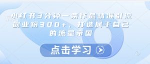小红书3分钟一条作品精准引流创业粉300+,打造属于自己的流量帝国-第一资源网