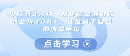 小红书3分钟一条作品精准引流创业粉300+，打造属于自己的流量帝国-第一资源网