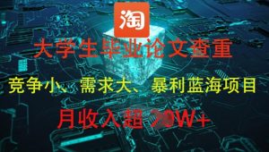 大学生毕业论文查重,暴利蓝海项目,月收入过1W+-第一资源网