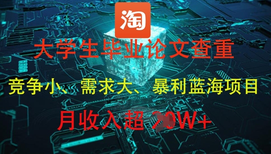 大学生毕业论文查重，暴利蓝海项目，月收入过1W+-第一资源网