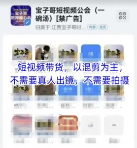宝子哥头部团队短视频带货,以混剪为主,不需要真人出镜,不需要拍摄-第一资源网