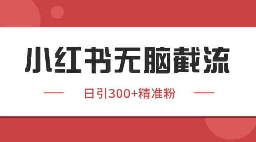 小红书只要你有同行就能获客，独家野路子获客玩法，暴力截流【揭秘】-第一资源网