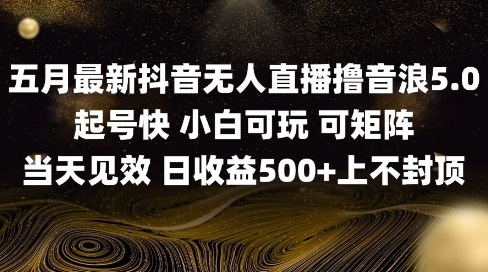 2025五月最新无人直播撸音浪单日产出5张+实操教程【揭秘】-第一资源网