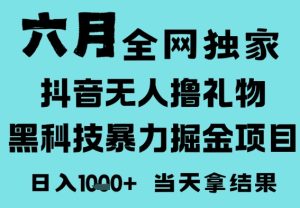 25年6月高爆抖音无人直播最新撸音浪掘金项目，门槛低小白可做，无脑日入1k，可矩阵放大【揭秘】-第一资源网