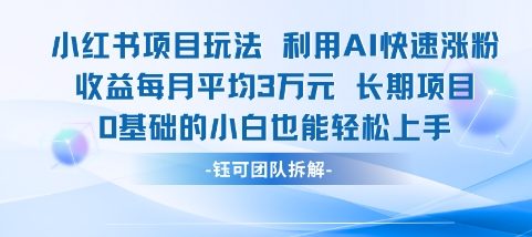 适合小白操作的小红书新项目，利用AI快速涨粉，收益每月平均1W+-第一资源网