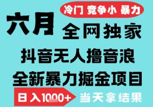 2025年6月高爆抖音无人直播最新撸音浪掘金项目,无脑日入1k+,低门槛小白可做,可矩阵放大【揭秘】-第一资源网