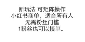 可矩阵操作,小红书商单新玩法,适合所有人,无需粉丝门槛,1粉丝也可以接单-第一资源网