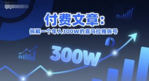 付费文章：拆解一个年入300W的喜马拉雅账号-第一资源网