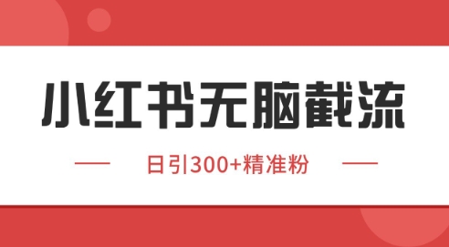 小红书截流同行客源，独家野路子获客玩法 日引200+暴力获客【揭秘】-第一资源网