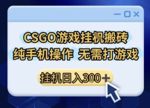 CSGO游戏挂G搬砖,小白纯手机即可操作,不用电脑打游戏,日入3张+,副业网创项目【揭秘】-第一资源网
