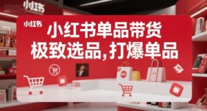 小红书单品带货,极致选品,打爆单品-第一资源网
