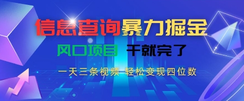 信息查询暴力掘金，一天三条视频，轻松变现四位数，风口项目干就完了【揭秘】-第一资源网
