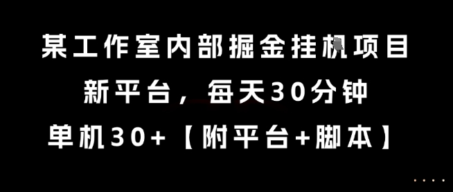 某工作室内部掘金挂G项目，新平台，每天30分钟，单机30+【揭秘】-第一资源网