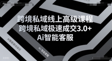 跨境私域线上高级课程，跨境私域极速成交3.0+Ai智能客服-第一资源网